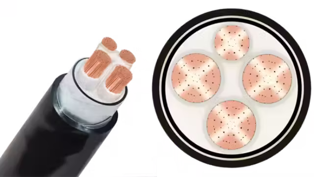 Cáp ngầm cadivi CXV/DSTA-Cu/XLPE/SWA/PVC 3x+1x