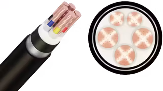 Cáp ngầm cadivi CXV/DSTA-Cu/XLPE/SWA/PVC 3x+2x