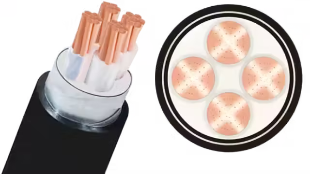 Cáp ngầm cadivi CXV/DSTA-Cu/XLPE/SWA/PVC 4x