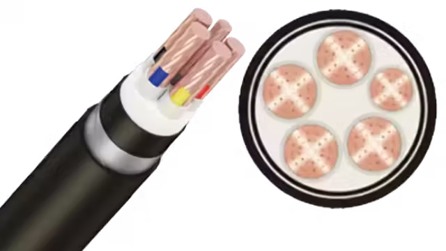 Cáp ngầm cadivi CXV/DSTA-Cu/XLPE/SWA/PVC 4x+1x