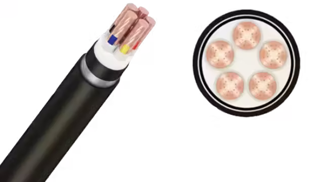 Cáp ngầm cadivi CXV/DSTA-Cu/XLPE/SWA/PVC 5x